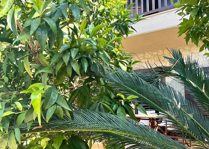 Sea And Stone Σπίτι διακοπών Άφυτος