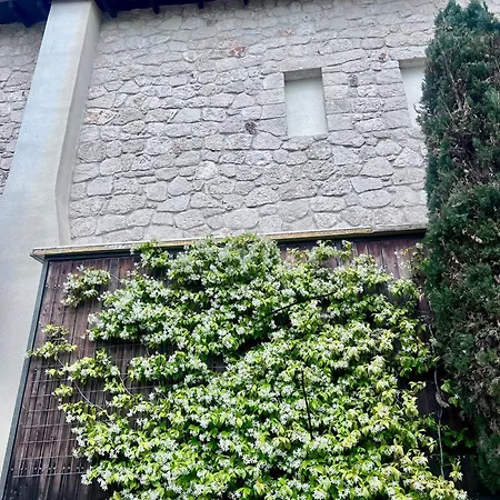 Sea And Stone Дом отдыха Афитос